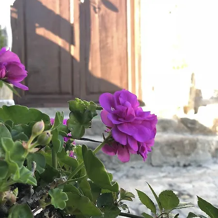 Сasa de vacaciones Casa Rural Macrina Costa Adeje (Tenerife)